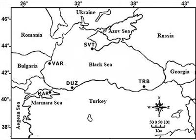 Genetics Structure Analysis of Turbot (Scophthalmus maximus, Linnaeus, 1758) in the Black and Mediterranean Seas for Application of Innovative Management Strategies